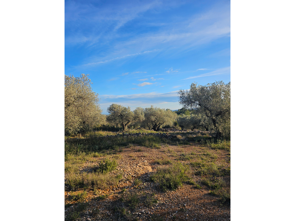 Finca i San Rafael Del Rio, Castellon - foto 3